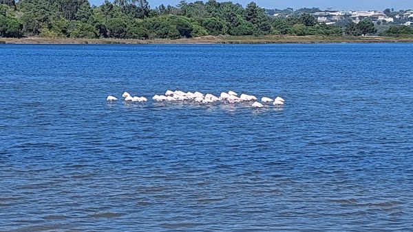 Ponta do Espichel 5
