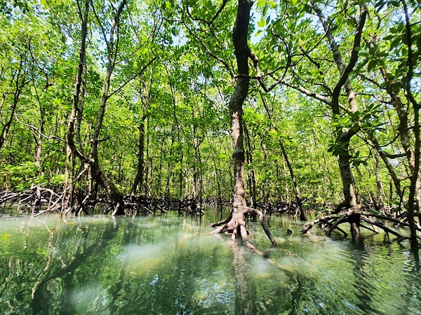 Kilim Geoforest Park 3
