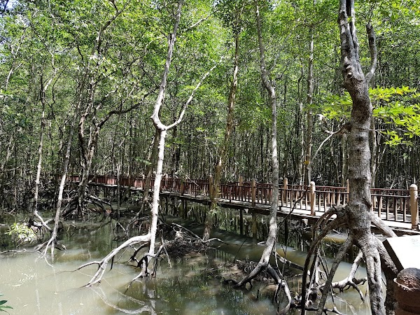 Kilim Geoforest Park 2