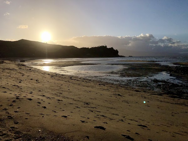 Golden Bay / Mohua 5
