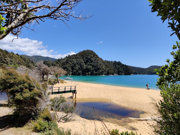Golden Bay / Mohua 4