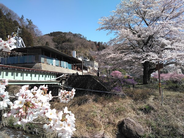 Mizunuma Onsen 3
