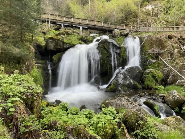 Triberg Waterfalls 5