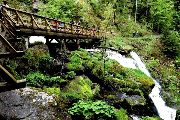 Triberg Waterfalls 4