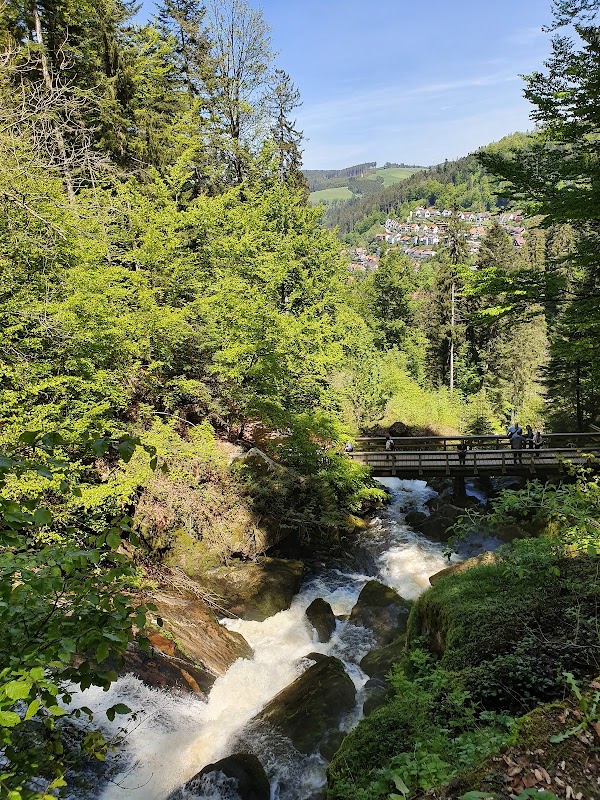 Triberg Waterfalls 3