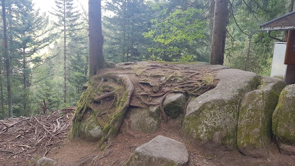 Triberg Waterfalls 2