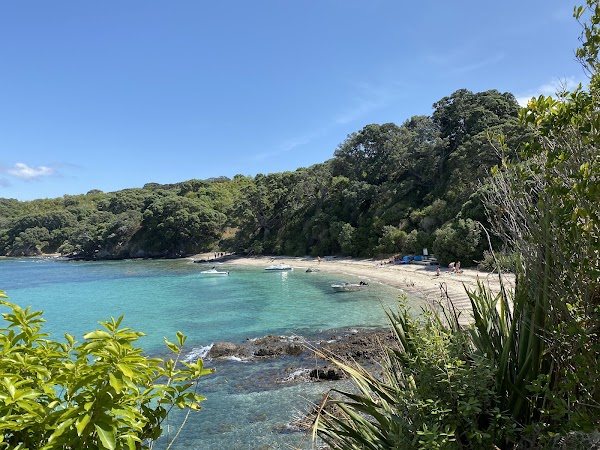 Tiritiri Matangi Island 5