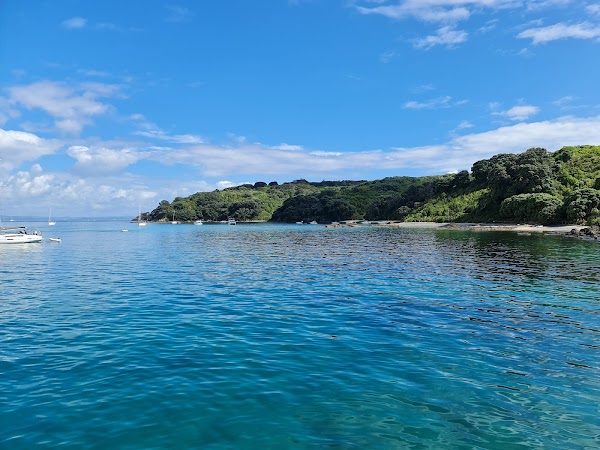 Tiritiri Matangi Island 4
