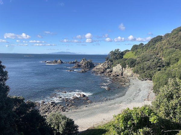 Tiritiri Matangi Island 3