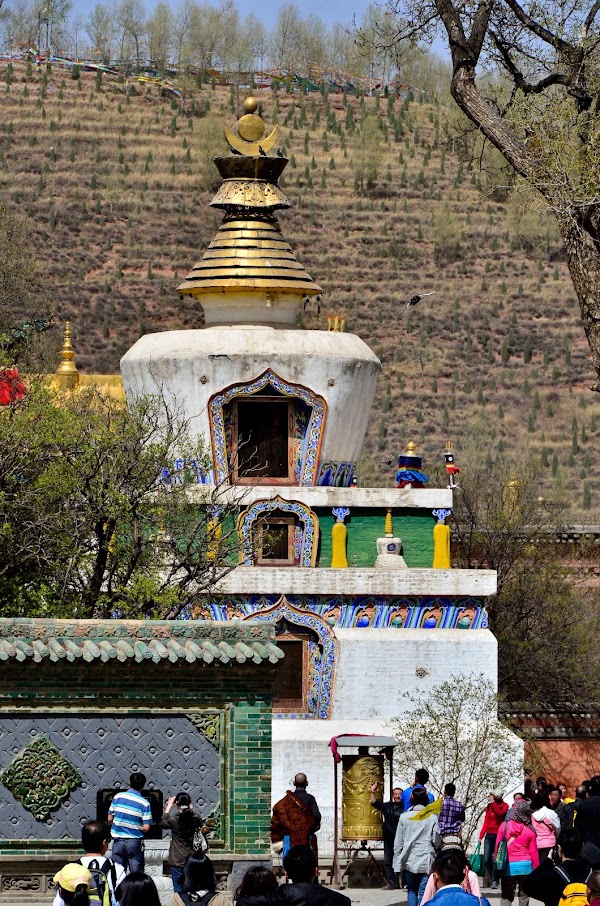 Xining 5
