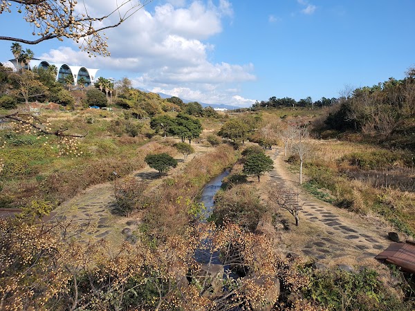 Yerae Eco Experience Center (예래생태체험관) 5