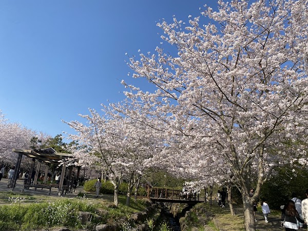 Yerae Eco Experience Center (예래생태체험관) 4