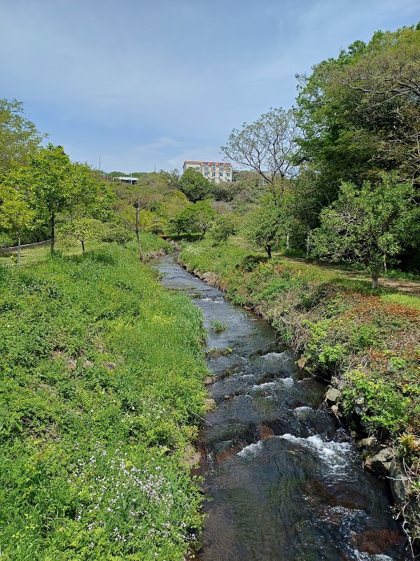 Yerae Eco Experience Center (예래생태체험관) 3