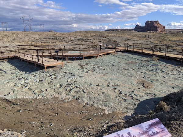 Mill Canyon Dinosaur Tracksite