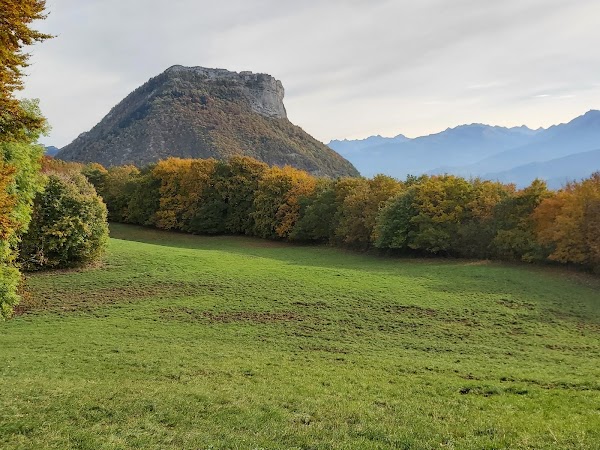Chartreuse Mountains 5