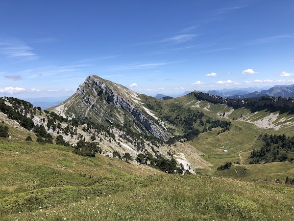 Chartreuse Mountains 3