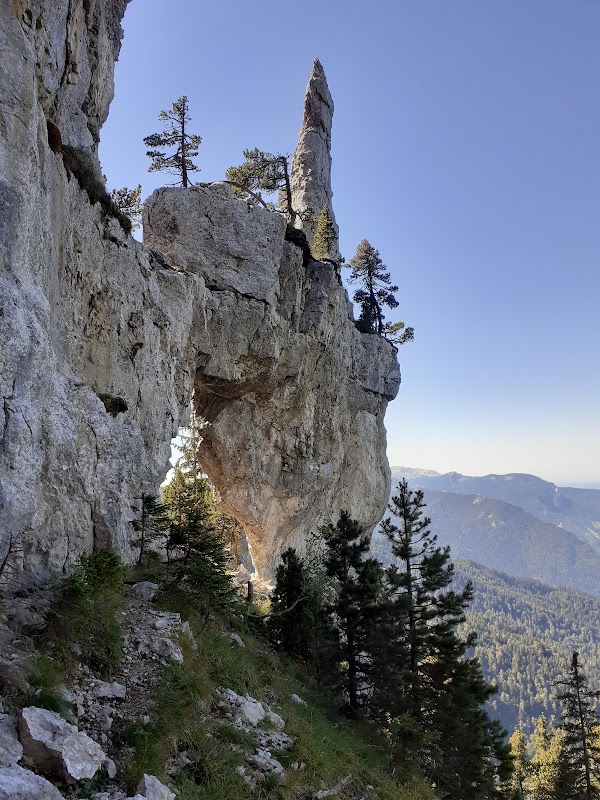 Chartreuse Mountains 2