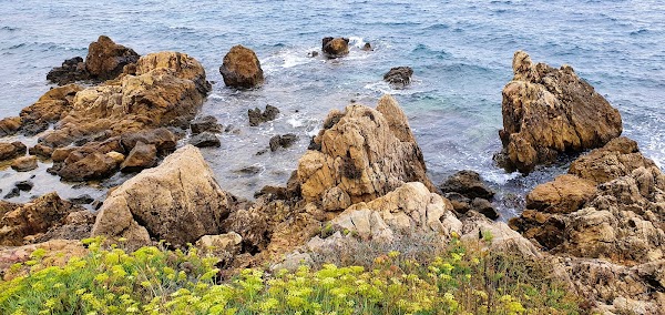Cap d'Antibes 4