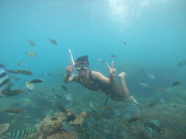 Karimunjawa 5