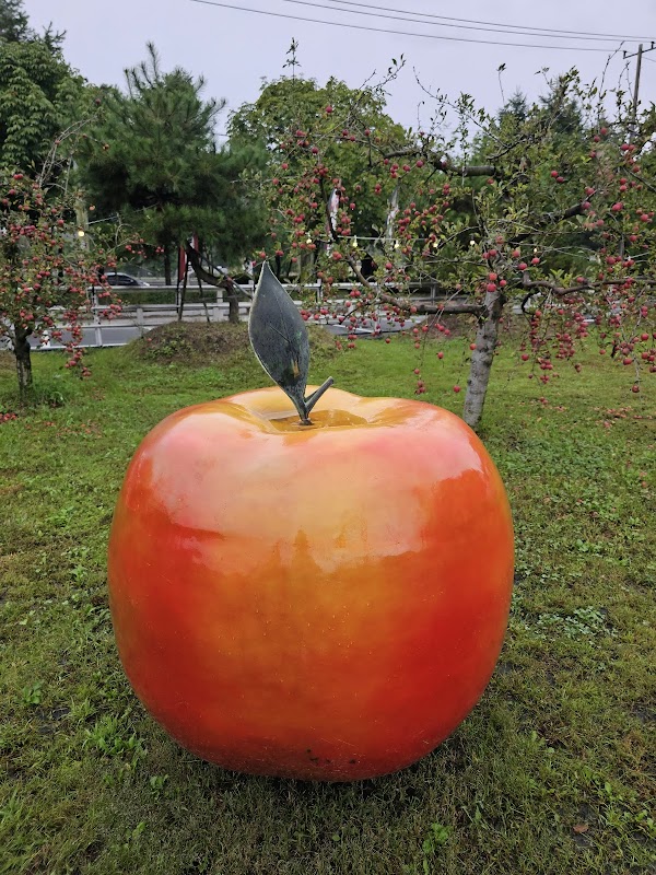 Boss Apple Farm 사과깡패 3