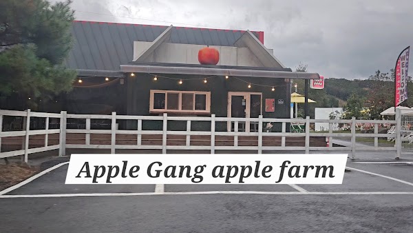 Boss Apple Farm 사과깡패 2