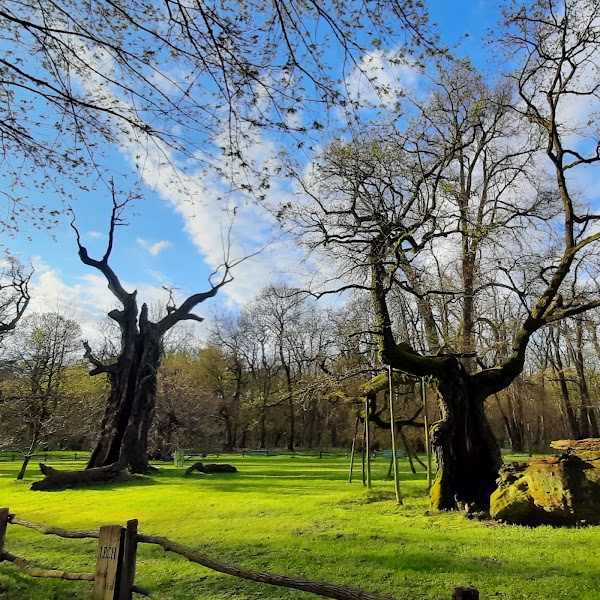 Rogalin Landscape Park