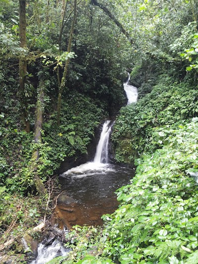 Monte Verde