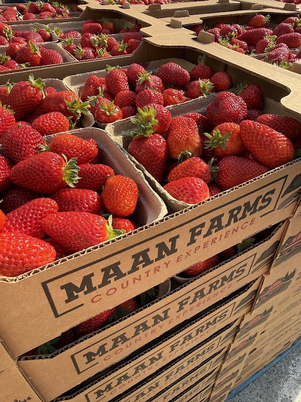 Maan Farms Market and Estate Winery
