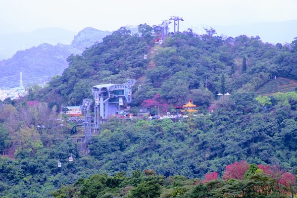 MaoKong 2