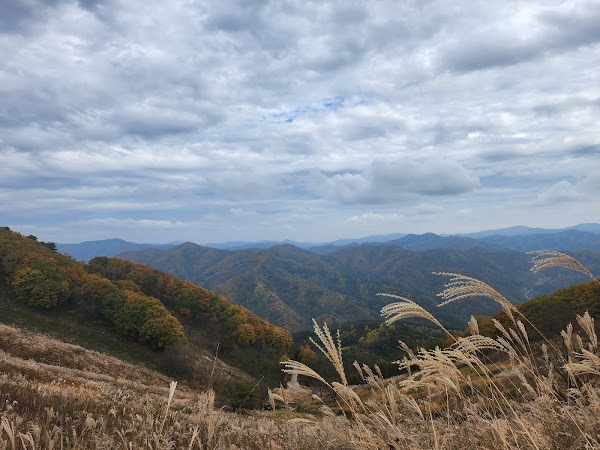 Mindungsan 5
