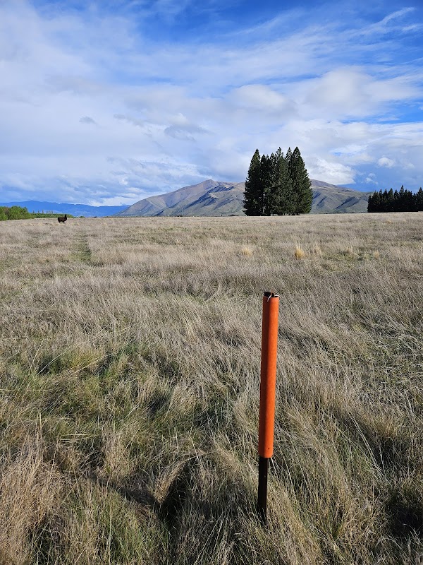 Twizel River Trail 1