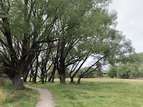 Twizel River Trail 4