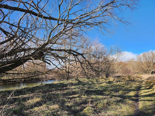 Twizel River Trail 2