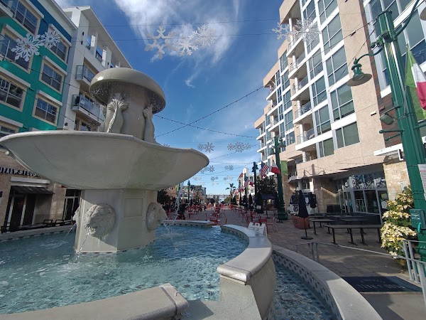 Little Italy 5