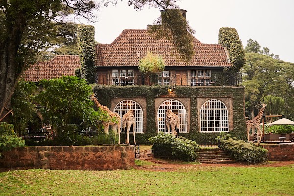 Giraffe Manor 2