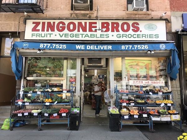 Zingone Brothers 1