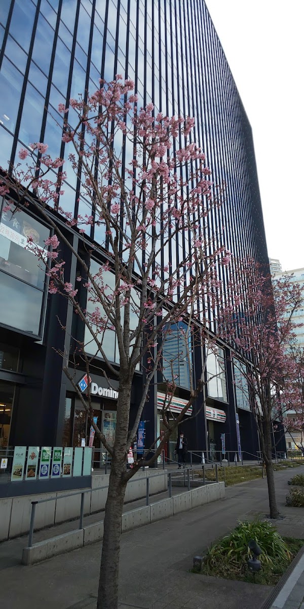 Toyosu 2