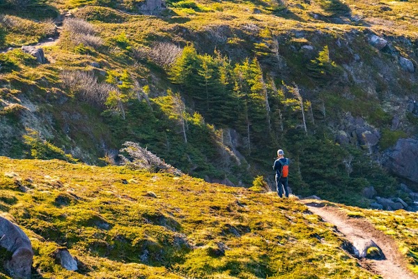 Cobbler Path 2