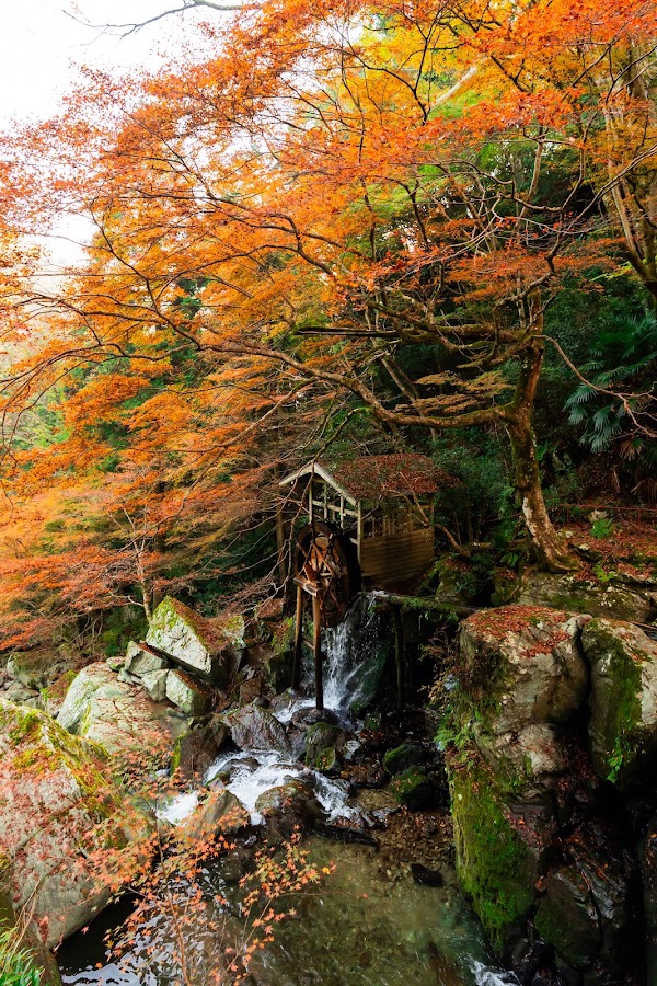 Handa-Iwa