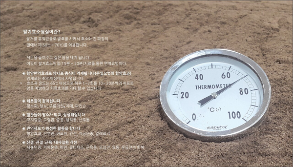 송라녹색농촌체험마을 2