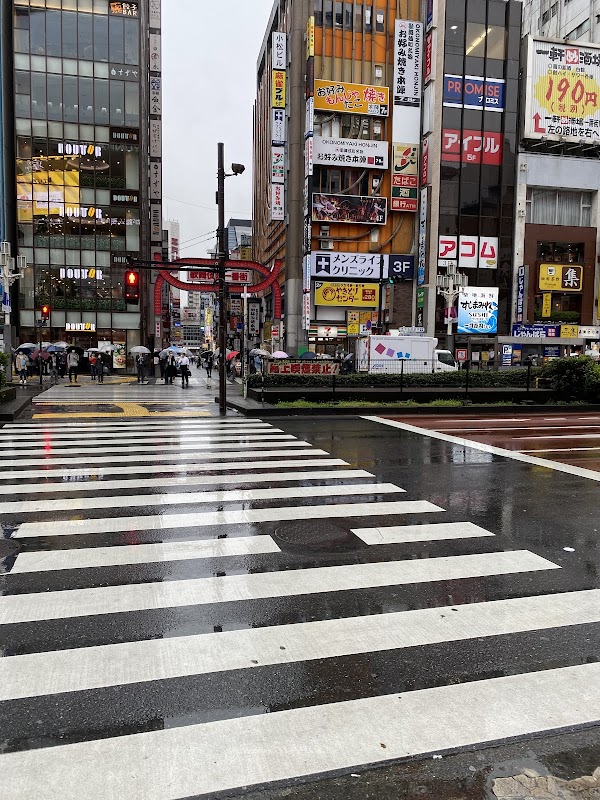 Shinjuku City 5