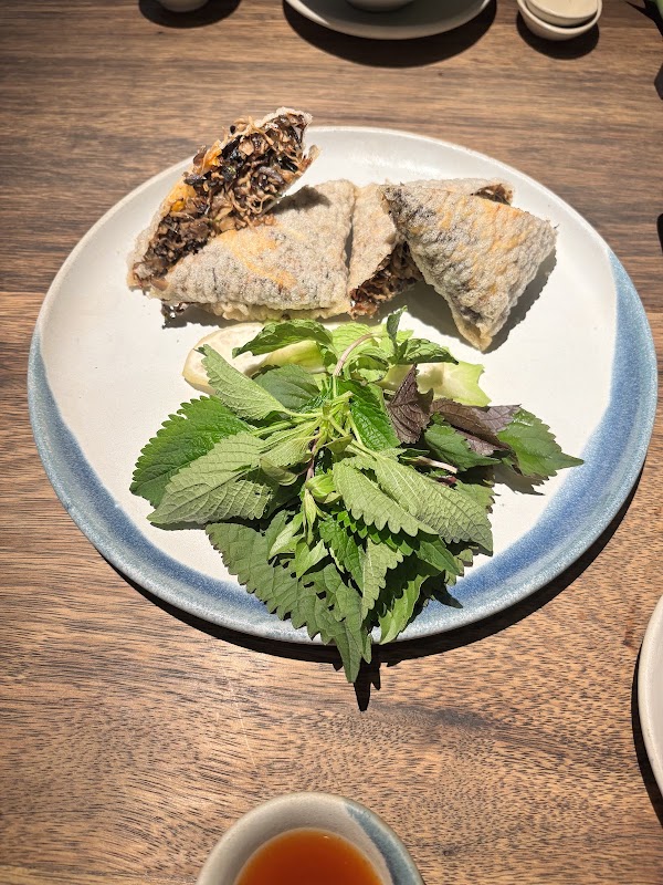 Hum Garden - Healthy Veggies Delights 2