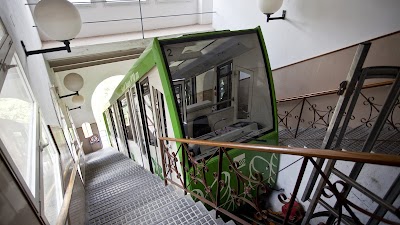 Bcn 11