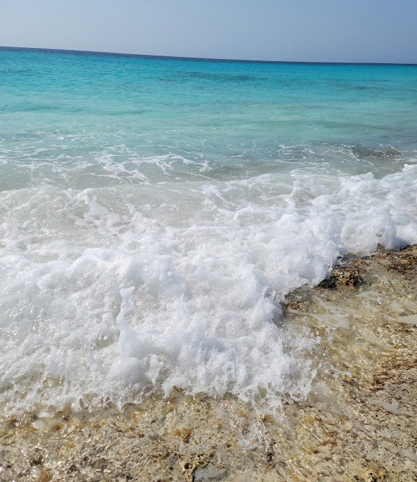 Maui Beach 4