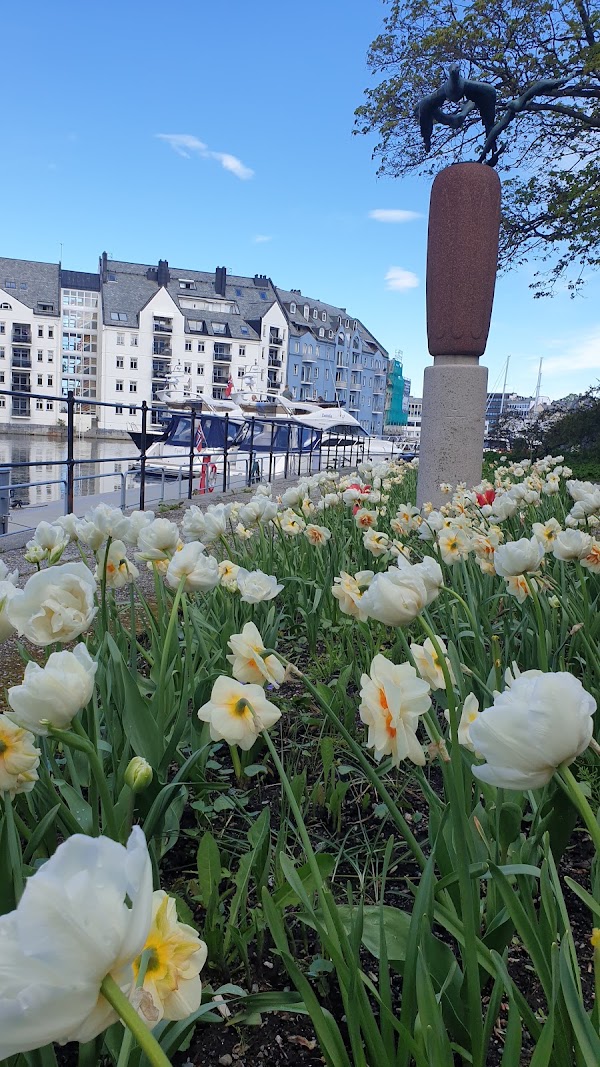 Ålesund 3