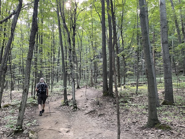 Cup and Saucer Hiking Trail 3