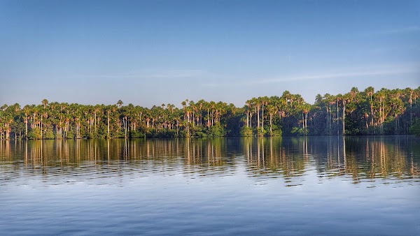 Lago Sandoval