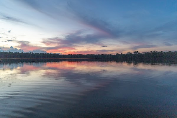 Lago Sandoval 5