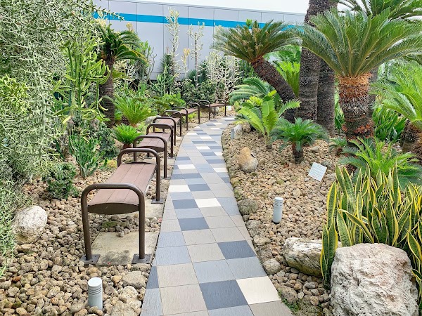Cactus Garden 2