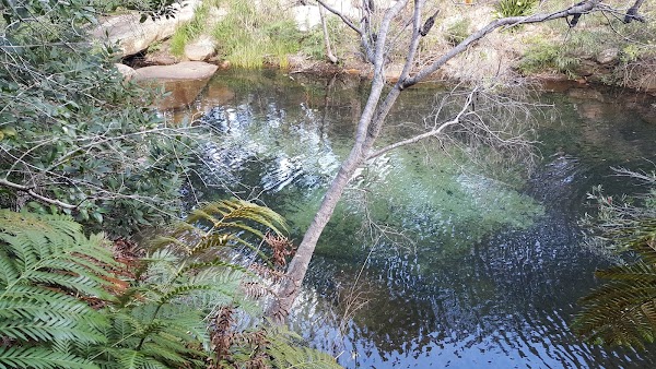 Curracurrang Gully